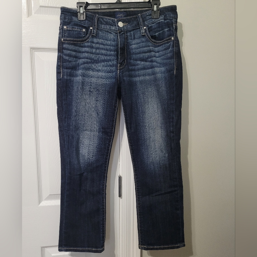 Daytrip Women's Ankle Length Jean